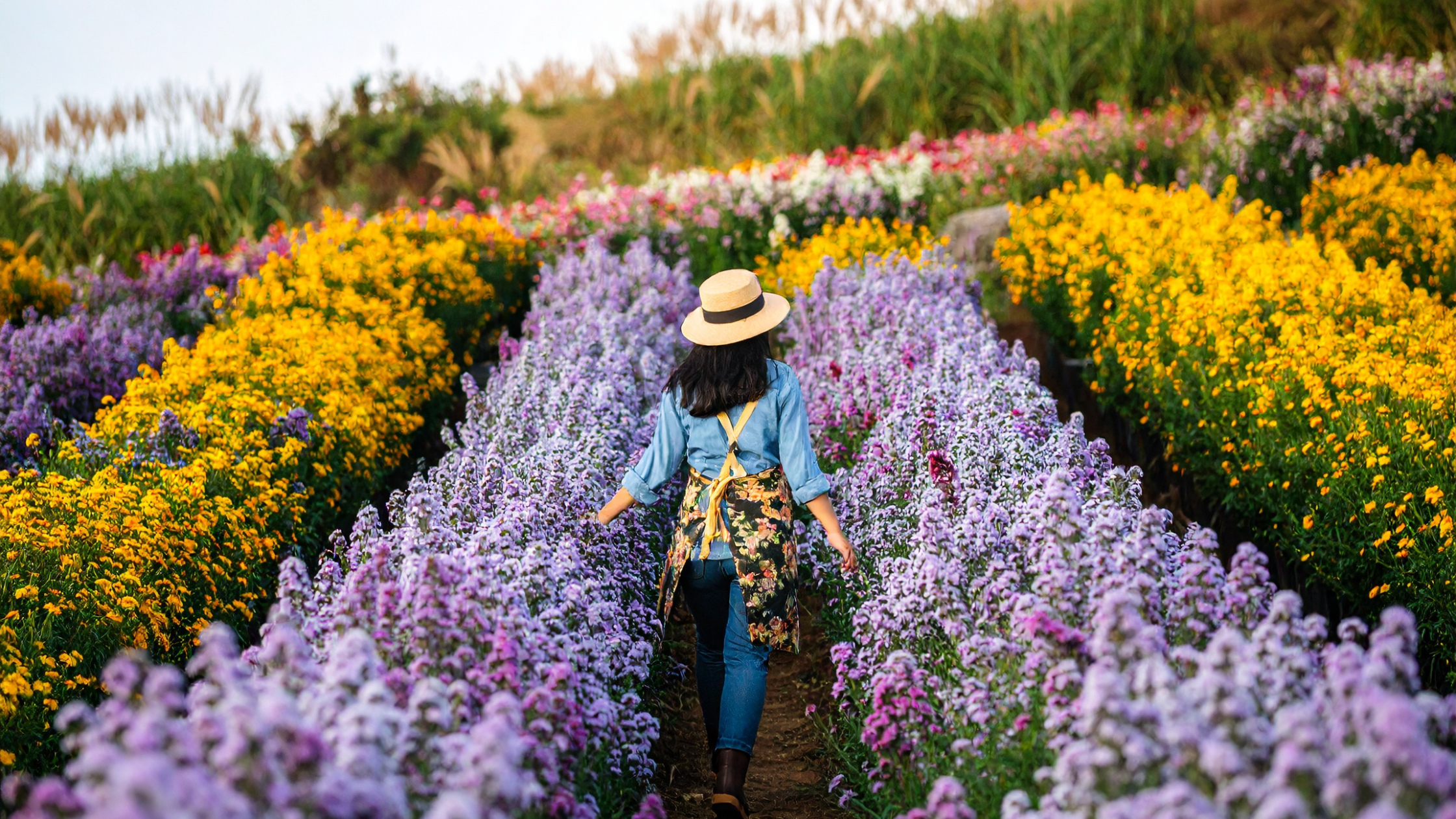 Flower Walk